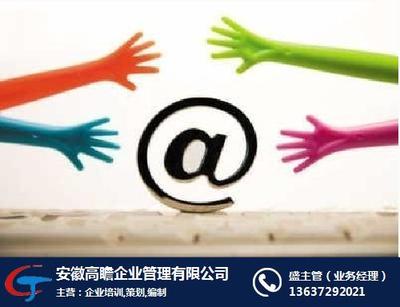 投资价值分析及资金管理实施细则——高瞻管理咨询策划服务方案